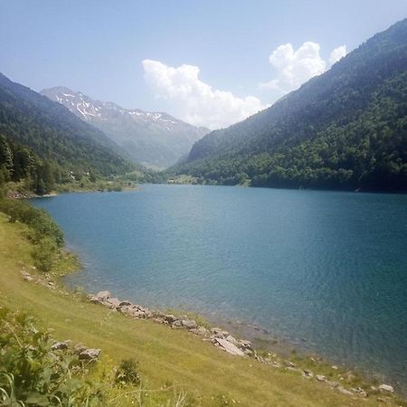 Afrique Appartement De 42M2 A La Montagne Eaux-Bonnes Dış mekan fotoğraf