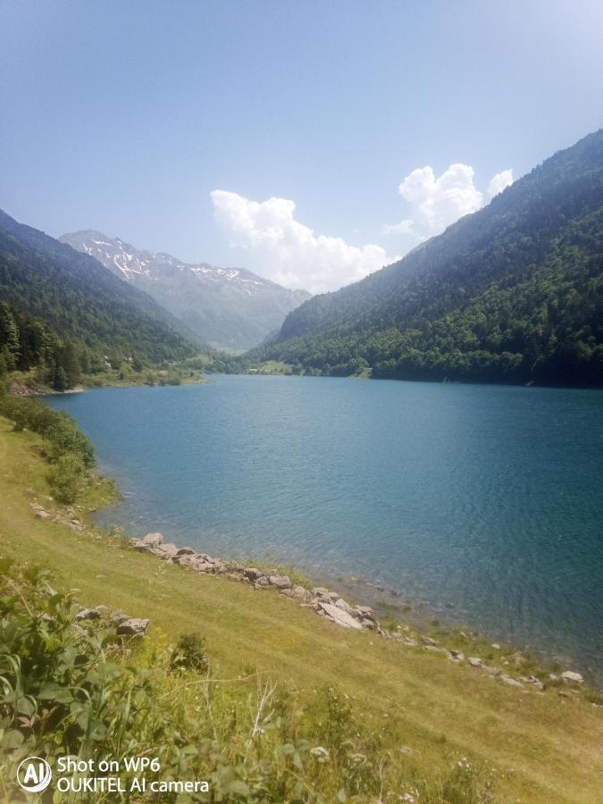 Afrique Appartement De 42M2 A La Montagne Eaux-Bonnes Dış mekan fotoğraf