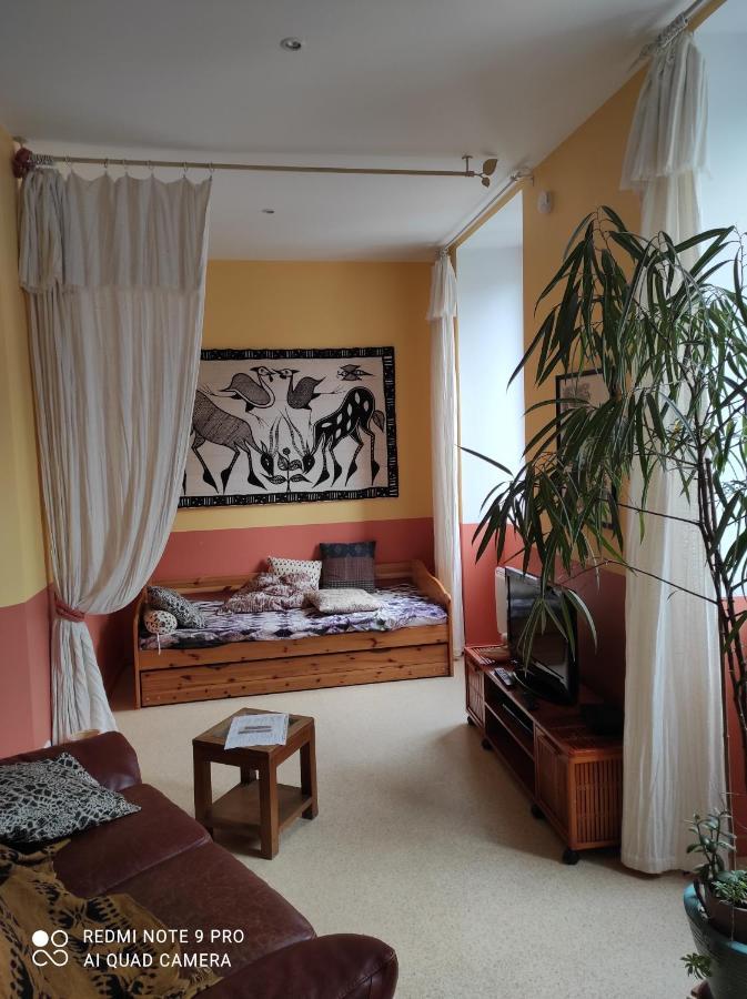 Afrique Appartement De 42M2 A La Montagne Eaux-Bonnes Dış mekan fotoğraf